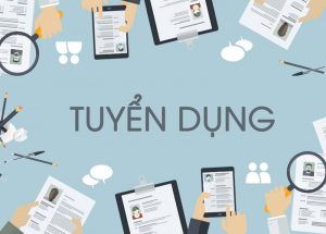 tuyển dụng trưởng nhóm QS